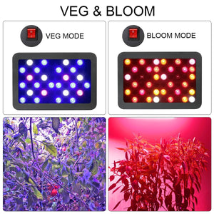 BESTVA 600/1200/2000W LED Grow Light