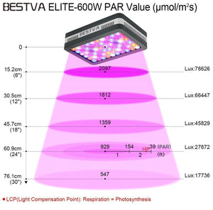 BESTVA 600/1200/2000W LED Grow Light