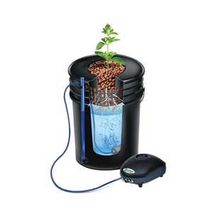 Alfred DWC 2- Plant Hydroponics System