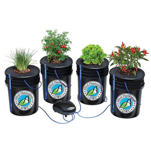 Alfred's DWC 4-Plant System Hydroponic Deep Water Culture 5Gallon Bucket