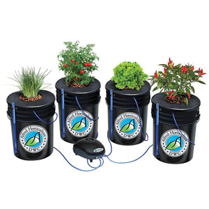Alfred's DWC 4-Plant System Hydroponic Deep Water Culture 5Gallon Bucket