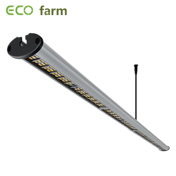 ECO Farm 100W LED Grow Light Strip For Hydroponics