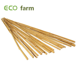 ECO Farm Durable Bamboo Stake