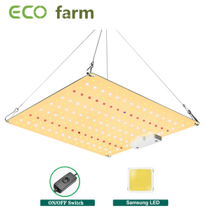 ECO Farm ECOQ 65W Mini Quantum Board For Seedling Stage With Samsung Chips