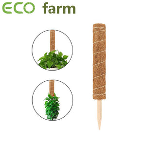 ECO Farm Moss Rod Garden Coconut Moss Support Expansion Indoor Plant Climbing