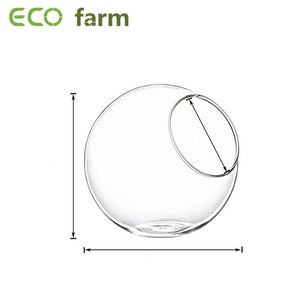 ECO Farm Round Glass DIY Air Plants Terrariums