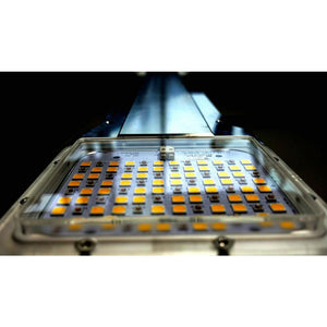 Horticulture Lighting Group HLG ELITE 360 Eco - LED Grow Lights Depot