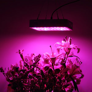 BESTVA 800/1200/1500W LED Grow Light