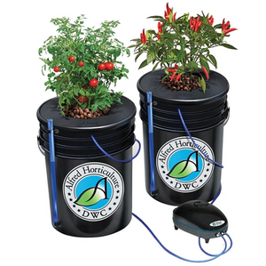 Alfred DWC 2- Plant Hydroponics System