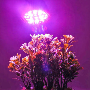 King-Mini 9W LED Grow Light
