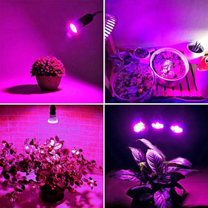 King-Mini 9W LED Grow Light