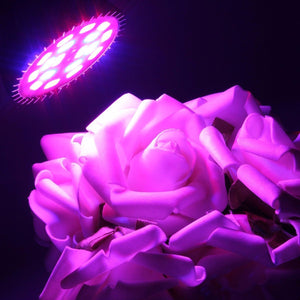 King-Mini 9W LED Grow Light