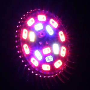 King-Mini 9W LED Grow Light