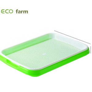 ECO Farm High Quality Sprout Seedling Tray for Hydroponic Shopping Online