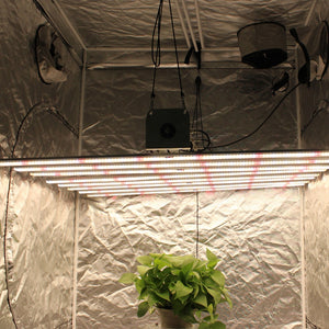 ECO Farm 600W/800W/1000W Full Spectrum LED Grow Light Strips STG Series