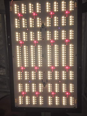 Elevated Lighting Series 3+ Full Spec 250 Watt Dimmable Grow Light