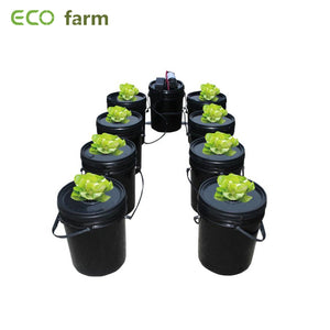 ECO Farm Environmental Protection Hydroponic DWC Growing Systems Kits 8 Buckets