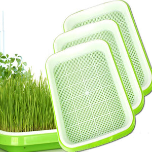 ECO Farm Hydroponic Nursery Seedling Tray With Lid