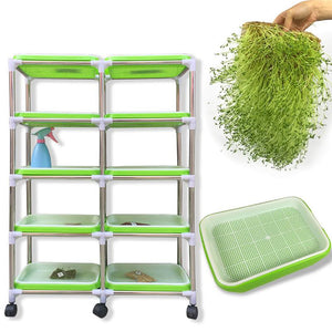 ECO Farm Hydroponic Nursery Seedling Tray With Lid