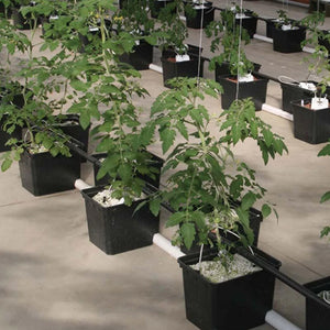 ECO Farm Environmental Protection Material Hydroponic Dutch Bucket
