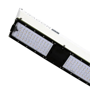Scynce Waterproof LED Dragon SL-4 channels of LEDs