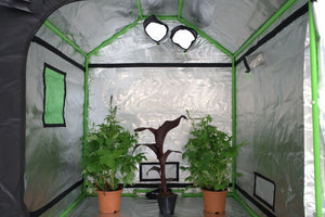 Eco Farm 5*5FT (60*60*72 Inch/ 150*150*180 CM) Tent Hydroponics Indoor Grow Tent Room