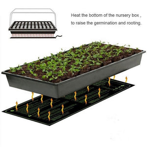 ECO Farm Seedling Tray Plant Grow Kit