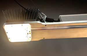 Horticulture Lighting Group 370W LED Grow Light For Indoor Planting