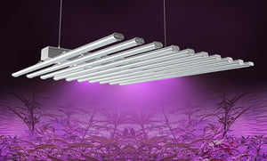 ECO Farm 720W LED Grow Light Strips With Osram Chips