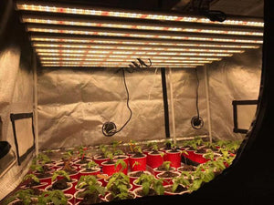 ECO Farm 720W LED Grow Light Strips With Osram Chips