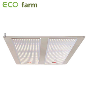 ECO Farm 220W/430W/640W Dimmable Quantum Board LED Grow Light