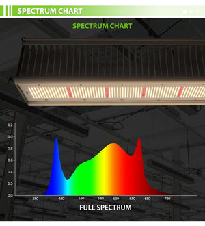 ECO Farm TOP Series 650W/800W LED Grow Light With Samsung Chips Full Spectrum Light Bar